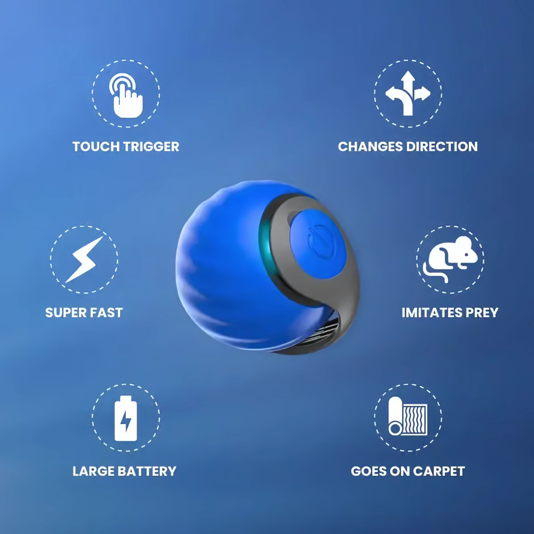 Electric Cat Ball with Fun Tail
