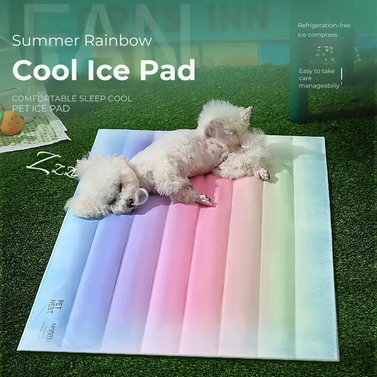 Summer Rainbow Cooling Pet Bed with Ice Crystal Gel