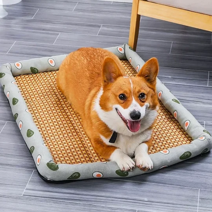 ChillPaws™ Dog Summer Mat