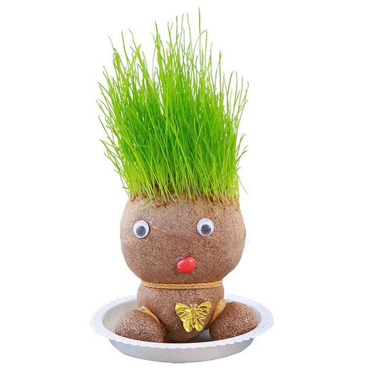 Plant Grass Doll