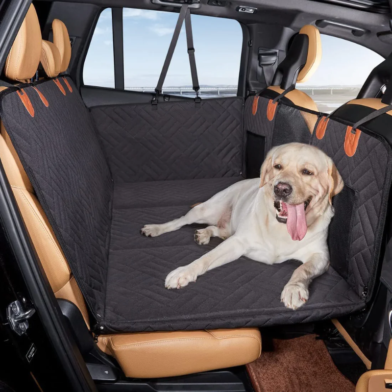 Ultimate Dog Car Safety Bundle
