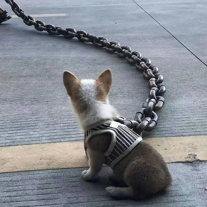 PawForce™ Dog Chain