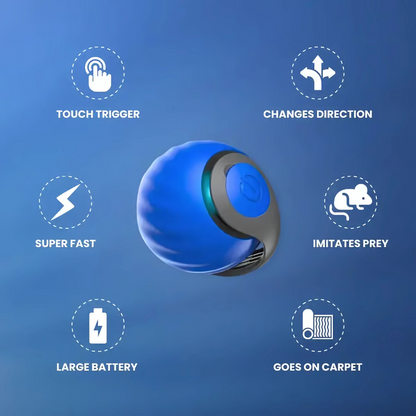Electric Cat Ball with Fun Tail
