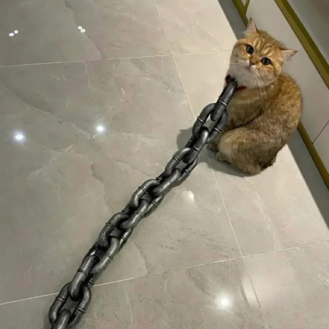 PawForce™ Dog Chain