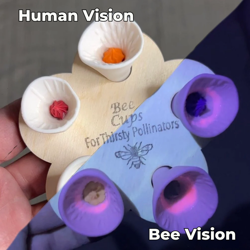 EcoBuzz™ Bee Insect Drinking Cup 5-Pack