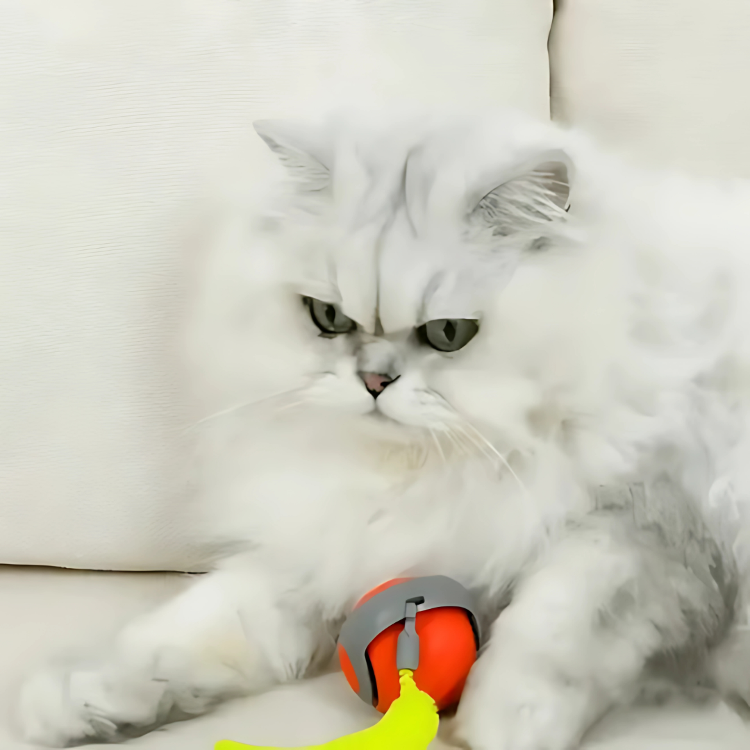 Electric Cat Ball with Fun Tail